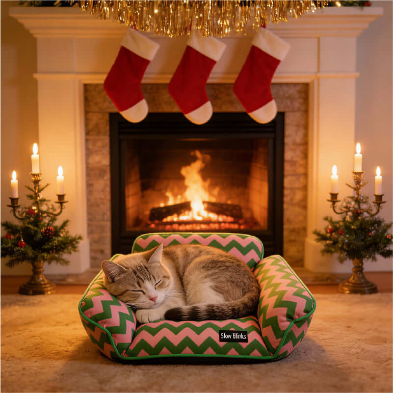 Memphis-Style Elevated Cat Hammock &amp; Woven Wool Cat Cave