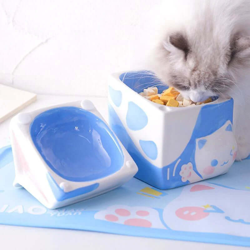 Multi-Functional Cat Bowl Set