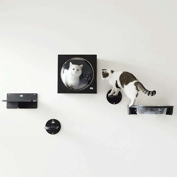 Modular Wall-Mounted Cat Climbing System with Clear Pods