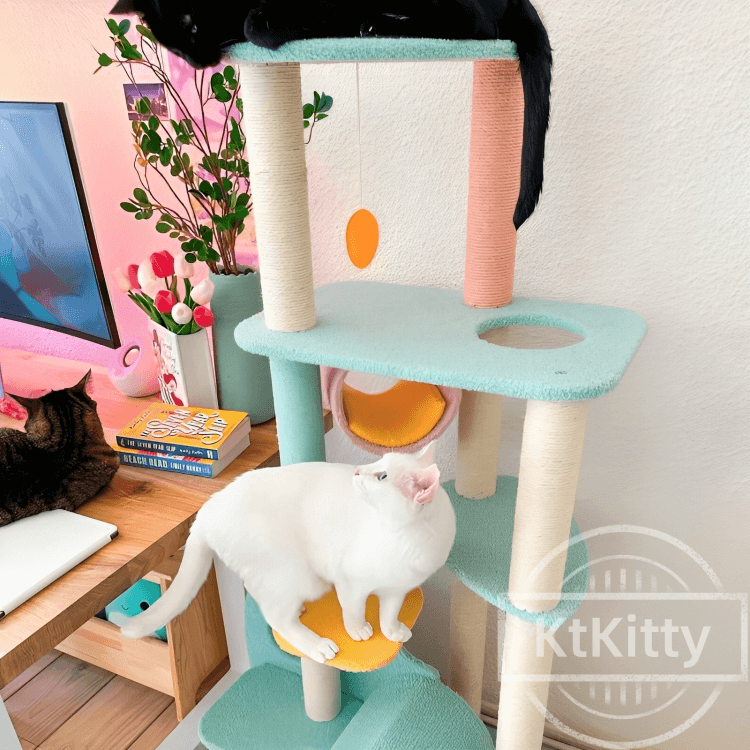 Wonderland Compact Multi-Level Tree - Space-Saving Design for Big Cats