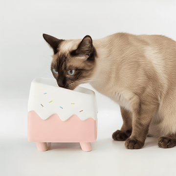Ergonomic Ceramic Cat Bowl – 15° Tilt