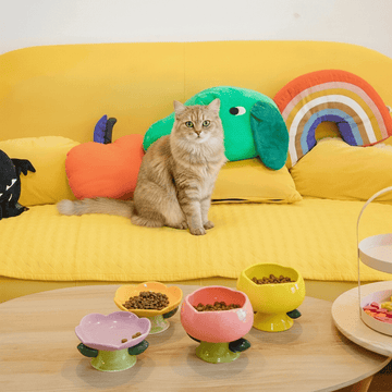 Handmade Ceramic Cat Bowl – Slow Eating