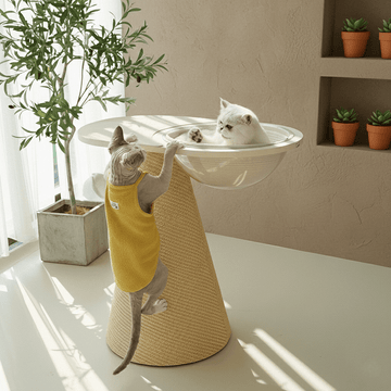 Conical Space Capsule Cat Tower
