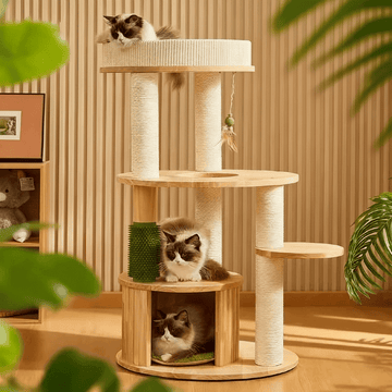 Solid Oak Multi-Level Cat Tree – Indoor Tower for Small & Short-Legged Cats