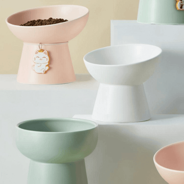 Morandi Tilted Cat Bowls