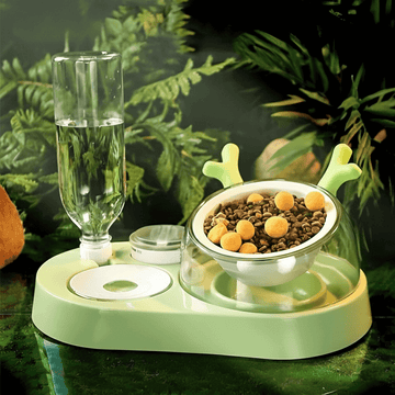 Multifunctional Cat Food Bowl & Auto Water Station
