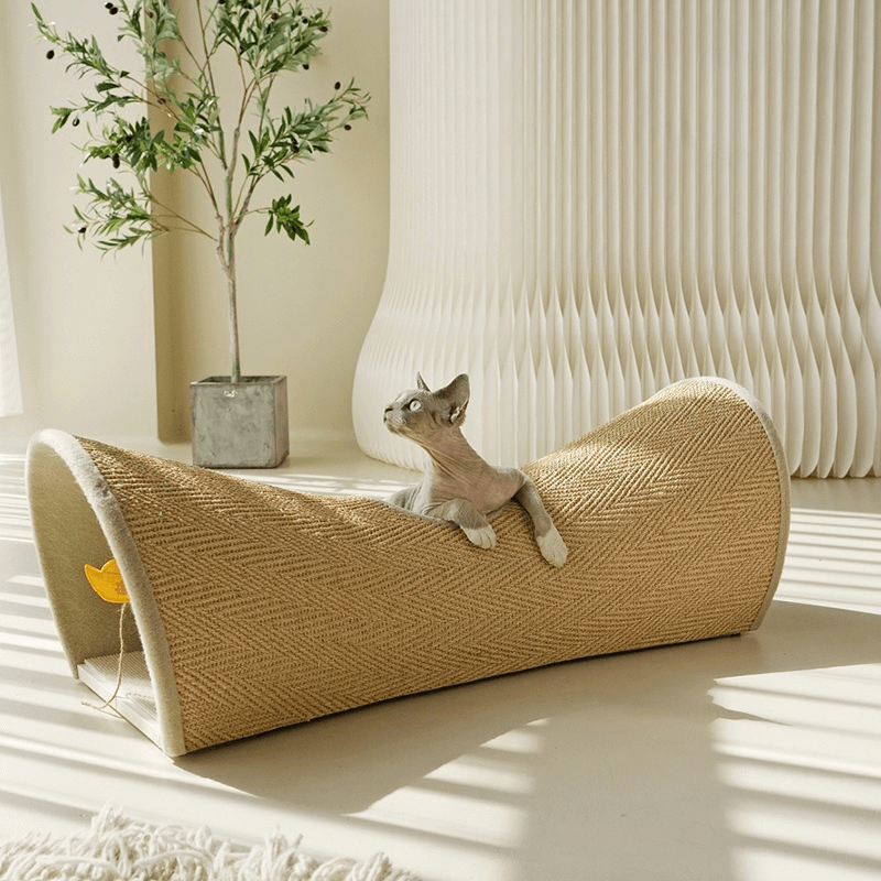 Cat Tunnel & Scratcher Toy